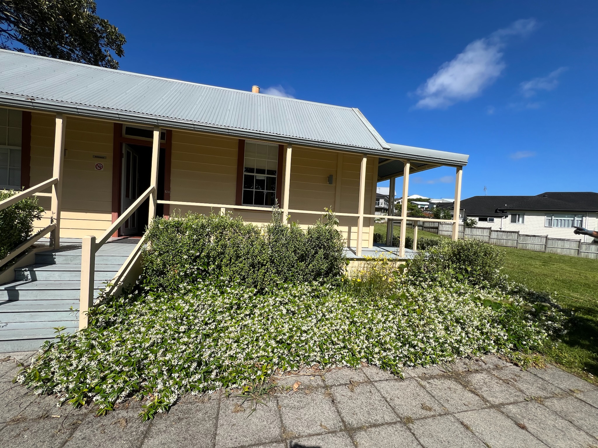 Landscaping Transformation